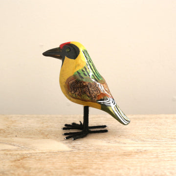 bird Sサイズ(5503)