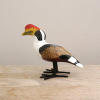 bird Sサイズ(5511) サイチョウ