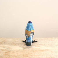 bird Sサイズ(5521) ニシブッポウソウ