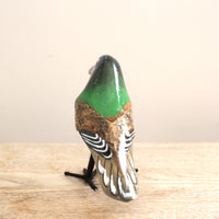 bird Sサイズ(5525) ツキノワテリムクドリ