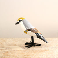 bird Sサイズ(5529) ワタムクドリ