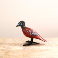 bird Sサイズ(5535) アフリカサンコウチョウ