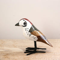 bird Sサイズ(5547) エリアカセッカ2
