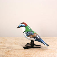 bird Sサイズ(5553) ノドジロハチクイ