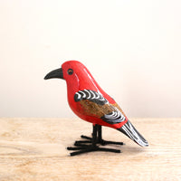 bird Sサイズ(5555) コウギョクチョウ2