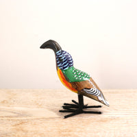 bird Sサイズ(5559) ムネアカオナガタイヨウチョウ2