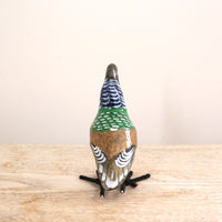 bird Sサイズ(5559) ムネアカオナガタイヨウチョウ2