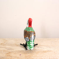 bird Sサイズ(5565) アフリカコゲラ
