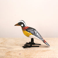 bird Sサイズ(5567) マミジロツグミヒタキ2