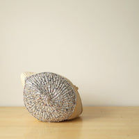 silver/SS