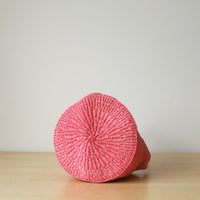 basket/SS cherry blossom