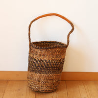 banana fiber/SM