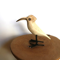 bird Sサイズ プレーン⑤(ヤツガシラ系)