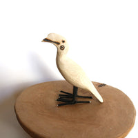 bird Sサイズ プレーン④(サイチョウ系)