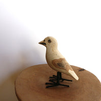 bird Sサイズ プレーン①(スタンダードバード)