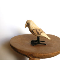 bird Sサイズ プレーン②(オウム系)