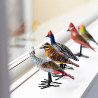 bird Sサイズ ヤツガシラ(5549)