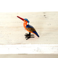 カンムリカワセミ