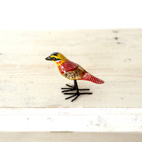 bird Sサイズ(5025) コシアカキンムネシトド