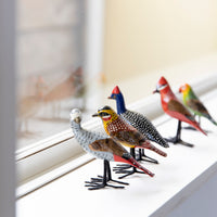 bird Sサイズ(5019) コウカンチョウ2