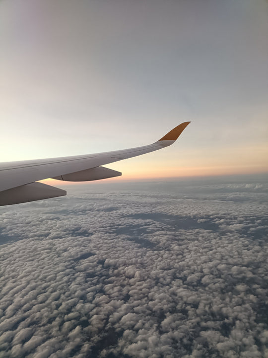 【2025ケニア】25年記念のケニア出張です