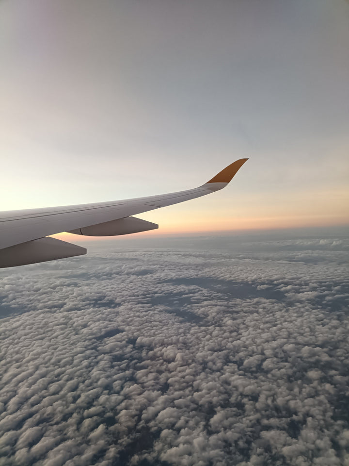 【2025ケニア】25年記念のケニア出張です