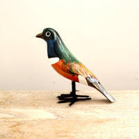 bird Sサイズ(5507)