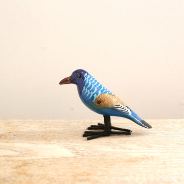 bird Sサイズ(5521)