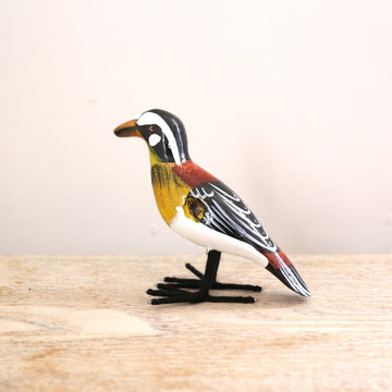 bird Sサイズ(5541)