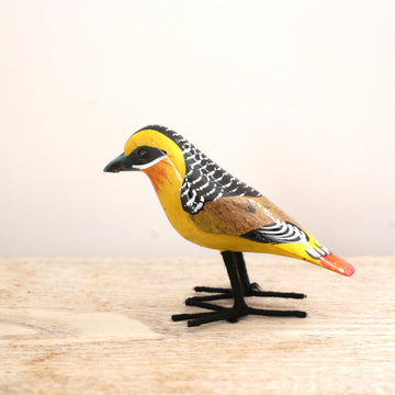 bird Sサイズ(5551)